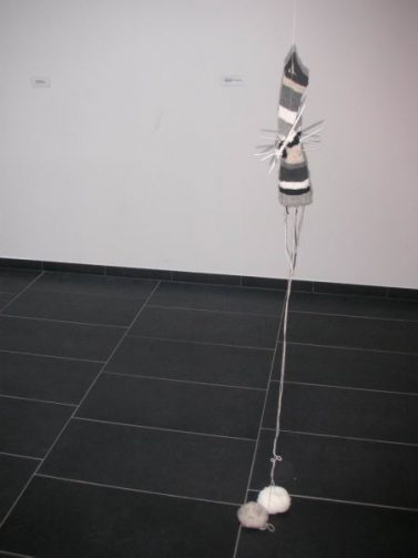 Christian Rupp: Selbstgestrickte Chromosomen